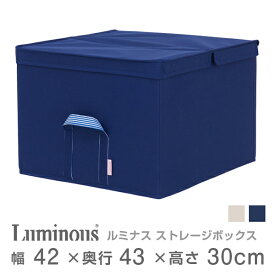 楽天市場 収納ボックス 布 ニトリの通販