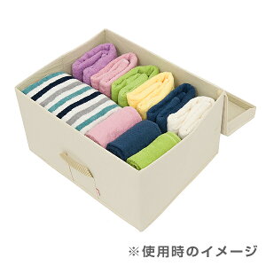 幅54×奥行43×高さ30cmルミナスストレージボックス1個