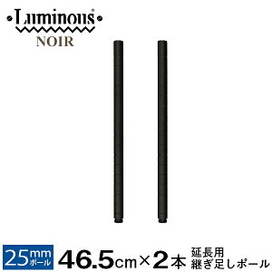 ルミナス 公式 パーツ 部品 ポール 延長ポール 高さ45 柱 2本セット ノワール専用 スチールラック ラック ポール径 25mm 黒 ブラック おしゃれ 業務用 収納 収納棚 ハンガーラック ワイヤーシェ