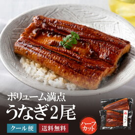 うなぎ2尾（ハーフカット）うなぎ　鰻　土用の丑の日