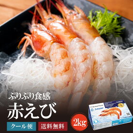 どっデカ！生赤えび2kg〈天然有頭〉焼きでも刺身でも 新鮮船上凍結(約40尾〜60尾)2キロ　【送料無料】あかえび 赤エビ 赤海老 ギフト がってん寿司