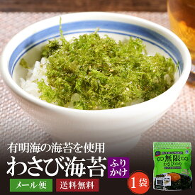 わさび海苔ふりかけ40g　海苔　わさび　ふりかけ　のり　有明産　送料無料　メール便でお届け