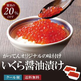 大粒 いくら 醤油漬け 500 g(250g×2パック) おおつぶ イクラ 白鮭卵使用 白鮭 チャムいくら 大粒イクラ 大粒 魚卵 贈答品 贈答 贈答グルメ グルメギフト いくら丼 グルメ お祝い 白鮭いくら 歳暮 お歳暮 御歳暮 正月 年賀 年末 小分け