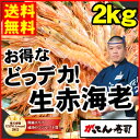 ギフト【送料無料】どっデカ！生赤えび2kg〈天然有頭〉焼きでも刺身でも/新鮮船上凍結(約45尾〜55尾)2キロ/海老/えび/エビ/あかえび/赤えび/赤エビ/刺身... ランキングお取り寄せ