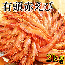 どっデカ！生赤えび2kg〈天然有頭〉焼きでも刺身でも 新鮮船上凍結(約40尾〜60尾)2キロ　【送料無料】あかえび 赤エビ 赤海老 ギフト がってん寿司