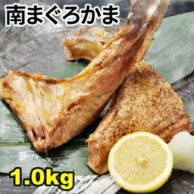 まぐろカマ1.0kg 高級ミナミマグロのかま【同梱おすすめ】かま焼き かま煮付け カマトロ がってん寿司 同梱 BBQ バーベキュー