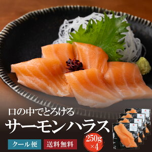 ƖpT[XLXnX1kg@H pAgeBbNT[ hg  VP Ăi