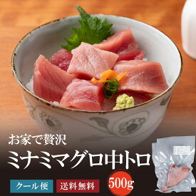 中トロ500g(250g×2)　【送料無料】【熨斗対応】寿司職人の厳選！ミナミマグロ/刺身/南鮪/まぐろ/鮪/中トロ/赤身/贈り物/がってん寿司【楽ギフ_のし】