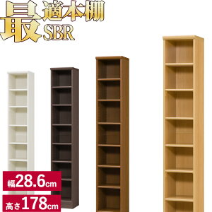 {I Vv IV ؐ A4 ǉI{IɍœKȖ{I SBR28.6cms31cm178cmCD DVD R~bN (R~bNbN VFt I ubNbN ubNVFt [I I [b