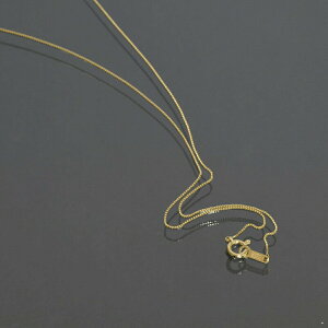 lbNX `F[ 10 CG[S[h xl`A`F[ 0.5mm 45cmb K10YG k10 10k M WG[ fB[X Y