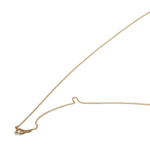 lbNX `F[ 10 CG[S[h [`F[ 1.1mm 45cmb K10YG k10 10k M WG[ fB[X Y