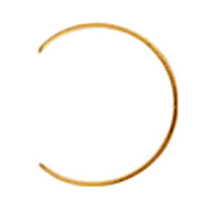 yo/1z C[JtX 18 CG[S[h ȂC[Jt c9.0mmbmz[  K18YG k18 18k M WG[ fB[X Y