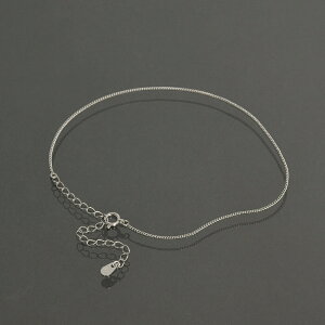 ANbg `F[ PT850 v`i 2ʃJbg약`F[ 0.8mm 24cmb 850pt M WG[ fB[X Y