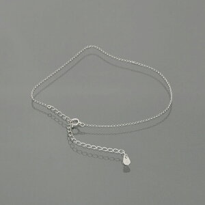 ANbg `F[ PT850 v`i [`F[ 1.0mm 24cmb 850pt M WG[ fB[X Y