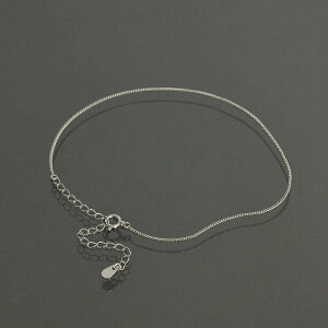 ANbg `F[ PT850 v`i 2ʃJbg약`F[ 0.8mm 24cmb 850pt M WG[ fB[X Y