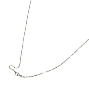 �l�b�N���X �`�F�[�� PT850 �v���`�i �����`�F�[�� ��1.1mm ����40cm�b�`�F�[���̂� ���� �� 850pt �M���� �W���G���[ ���f�B�[�X �����Y