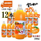 えひめのみかんジュース1L瓶×12本 伯方果汁(株)愛媛ミカンジュース果汁100% 1000ml【送料無料(北海道・沖縄除く)】