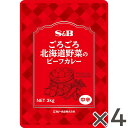 【公式】S&B ごろごろ北海道野菜のビーフカレー 大容量 中辛 3kg×4袋 業務用 エスビー食品 公式 レトルトカレー ごろごろ野菜 大容量 カレーの日 加工食品 送料無料 インスタントカレー