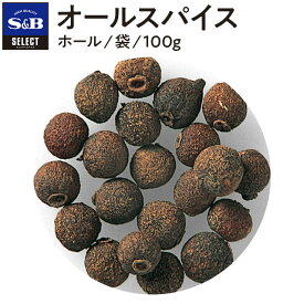 【公式】S&B セレクトスパイス オールスパイス ホール 袋入り 100g 業務用 エスビー食品 公式 スパイス ハーブ SELECT SPICE 百味胡椒 ピメント ジャマイカペッパー