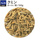 【公式】S&B クミン シード 袋入り 100g セレクトスパイス 業務用 エスビー食品 公式 スパイス ハーブ SELECT SPICE クミンシード 種 sb SB s&b エスビー 食品