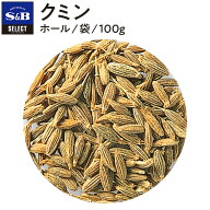 【公式】S&B クミン シード 袋入り 100g セレクトスパイス 業務用 エスビー食品 公式 スパイス ハーブ SE…