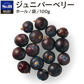 【公式】S&B セレクトスパイス ジュニパーベリー 袋入り 100g 業務用 エスビー食品 公式 スパイス ハーブ SELECT SPICE 杜松 としょう sb SB s&b エスビー 食品