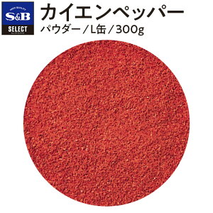 yzS&B ZNgXpCX JCGybp[ 300g pE_[ L Ɩp GXr[Hi  XpCX n[u SELECT SPICE ԓhq hq Ƃ炵 gEKV  h h