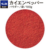 【公式】S&B セレクトスパイス カイエンペッパー 100g パウダー 袋入り 業務用 エスビー食品 公式 スパイ…