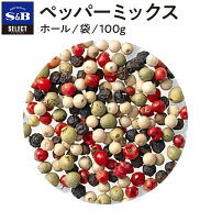【公式】S&B セレクトスパイス ペッパーミックス 袋入り 100g 業務用 エスビー食品 公式 スパイス ハーブ…