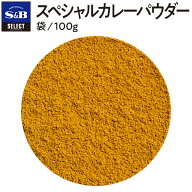 【公式】S&B スペシャルカレーパウダー 100g セレクトスパイス パウダー 袋入り 業務用 エスビー食品 公…