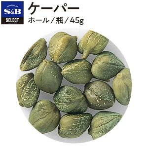 yzS&B P[p[ z[ r 45g ZNgXpCX Ɩp GXr[Hi  XpCX n[u SELECT SPICE sb SB s&b GXr[ Hi