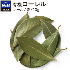 yzS&B L@[ z[ ܓ 10g ZNgXpCX Ɩp GXr[Hi  XpCX n[u SELECT SPICE I[KjbN [G j sb SB s&b GXr[ Hi