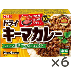 【エントリー必須※お買いものパンダカレー皿CP対象商品】【公式】S&B ドライキーマカレー 中辛 100g × 6個 エスビー食品 公式 エスビー食品 公式 カレー カレールー カレールウ キーマカレー パウダールウ 中辛 無水 カレー ルウ ルー エスビー S＆B s&b sb SB