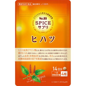 yzS&B XpCXTvqnc₦Eނ݃PA14 i14gj 1 GXr[Hi  NHi Tvg 