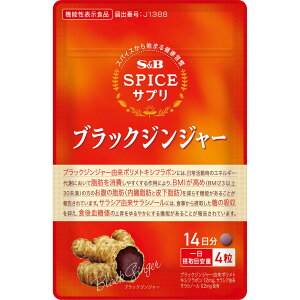 yzS&B XpCXTvubNWW[̎bEH㌌lT|[g14 i14gj 1 GXr[Hi  NHi Tvg 