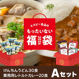 ＼23％OFF／S&B もったいない福袋Aセット（けんちんうどん・レトルトカレー20食セット） 食品ロス削減支援フードロス 訳あり 送料無料 エスビー食品 公式 セット