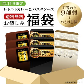 【公式】 S&B 1日限定福袋 9種類セット エスビー食品 公式 レトルトカレー パスタソース 限定販売 EC限定 まとめ買い 送料無料