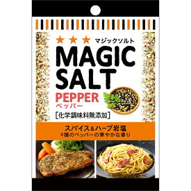 【公式】S&B マジックソルト ペッパー 袋入り 20g エスビー食品 公式 スパイス ハーブ 調味料 ダニエル・マルタン