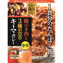 【公式】 S&B からだ満足STYLE 鶏ひき肉と3種の豆のキーマカレー 中辛 180g エスビー食品 公式 簡便 健康 1日分 たんぱく質 レトルト 簡単 カレーの日 加工食品 インスタントカレー