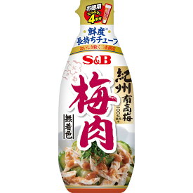 【公式】 S&B お徳用梅肉 160g エスビー食品 公式 チューブ お徳用