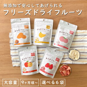 【選べる6袋】ドライフルーツ 大容量 赤ちゃん 子どものおやつ 無添加 いちご 苺 白桃 マンゴー りんご バナナ 9ヶ月頃から 乳幼児規格適用食品 カット済み おやつ 補食 フリーズドライ 果物