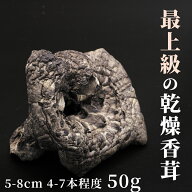 乾燥香茸 天然 50g 100g 150g 5-8cmサイズ 干し コウタケ 黒虎掌茸 シシタケ シシ茸 獅子茸 いのはな ス…