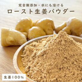 ＼新発売／ 生姜パウダー 100g 完全無添加 200g 300g 500g チャック付き袋 無着色 無香料 冷たい飲み物にも使えます ロースト 粉末生姜 ジンジャーパウダー 生姜 パウダー 粉末 温活 冷え性 冷え対策 料理 飲み物 しょうが湯 ショウガオール 中国産【メール便・送料無料】