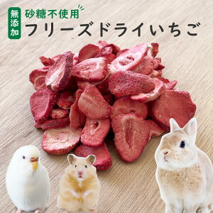 ysgpzybĝ t[YhC ETM nX^[ bg CR X tFbg nlY~ K nX^[ 1ܖ50 p XCX C`S 