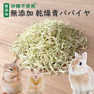 \期間限定価格/【砂糖不使用】パパイヤ 125g 250g 375g ウサギ ハムスター モルモット リス ペット 乾燥 青パパイヤ 1袋125g入り 小動物用 完全無添加 農薬不使用 無着色 青パパイア おやつ 砂