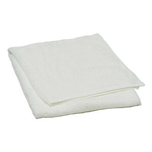 ���� �z�e���^�C�v �唻 �n���h�^�I�� 40×40cm ��100�� ���� �z���C�g ���{�� TX5003 TT35100024