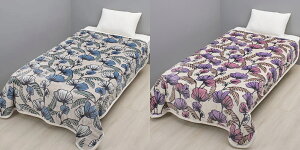 ���� �t�B�����C�\�� DECO�� �{�A �L���g�P�b�g �V���O�� FI5652 FE05803014