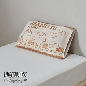  Xk[s[ ̂т̂ ^Is[P[X MO x[W PN3660 XT63196666