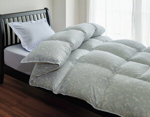  SAebNX HтӂƂ ENCizCgO[X 93%tFU[7 VO { F411 KA04006267