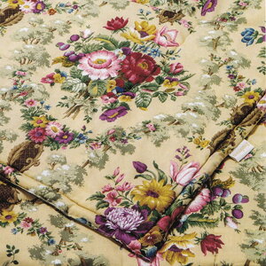 ���� �T���_�[�\�� �^�� ���|���ӂƂ� �E�I�b�V���u�� 0.5kg �V���O�� ���{�� SD001 AE00391000